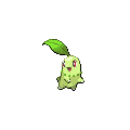 Chikorita