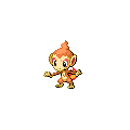 Chimchar