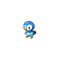Piplup