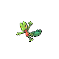 Treecko