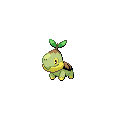Turtwig